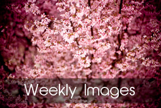 2024年最新完整版免费CAD软件下载与访问网站大全